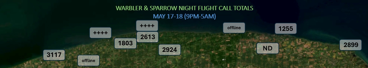 Z7 Megaflight Alert