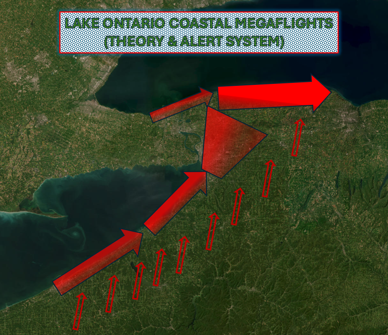 A blog by Bill Evans on the search for Lake Ontario coastal "megaflights" in Spring 2026